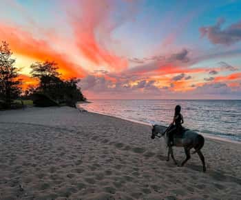 Oahu: Horseback Riding Tour on the North Shore
