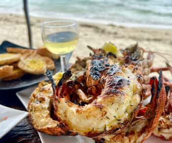 Privat: Delfin- och valmöte + grill på Benitier Island