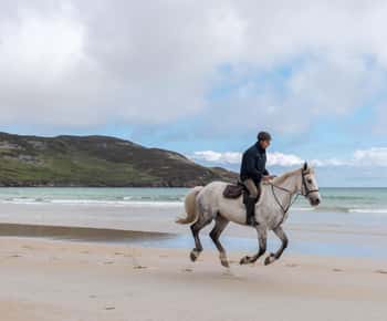 Westport: Geführter Ausritt zum Strand und in die Landschaft