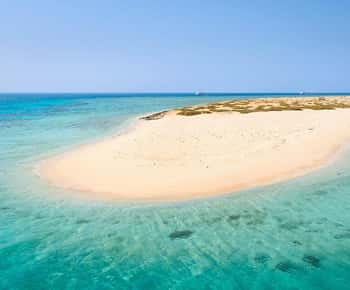 From Sharm: White Island and Ras Mohamed Snorkeling Trip