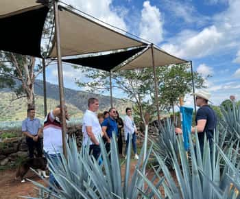 Rota da Tequila Premium com degustação profissional