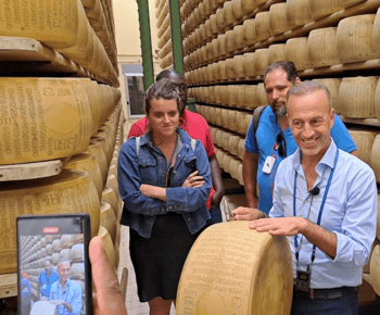 Parmesan Cheese Factory Tour & Tasting near Parma