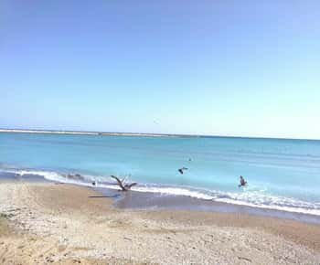 Private Bucharest Tour: Discover Constanța & Black Sea Coast