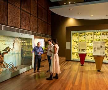 Adelajda: Narodowe Centrum Wina Wine Discovery Journey
