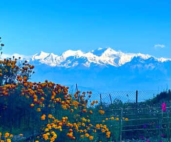Darjeeling: Tiger Hill Sunrise Hike - Viagem de 1 dia com guia