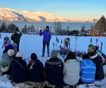 Tromsø: Snowshoeing with Reindeer