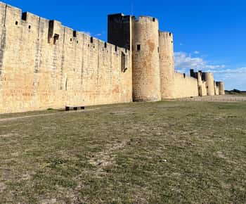 From Montpellier: Visit of Camargue and Aigues-Mortes
