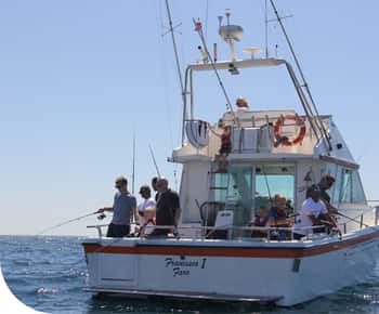 Pesca de recife em Vilamoura