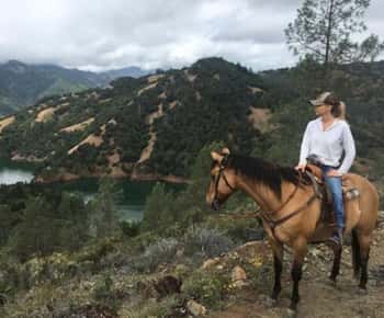 Sonoma: Horseback Riding Tour to Skaggs Vista Mountain
