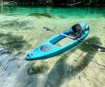 Silver Springs: Caiaque com fundo de vidro e passeio pela vida selvagem