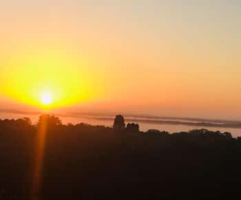 From Flores: Tikal Sunrise Archaeological Tour