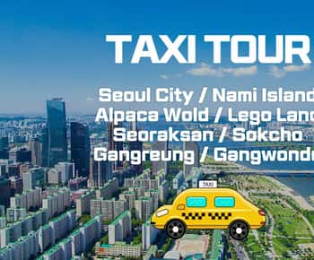 Seoul: Privater Taxi-Tourwagen – Nami Alpaca Seorak