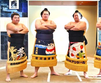 Tokyo:Luxury Sumo Show Experience & Deluxe Japanese cuisine