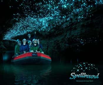Auckland: Excursão Waitomo Glowworm Caves Explorer em pequenos grupos