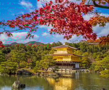 Osaka/Kioto: Kinkakuji, Arashiyama, Santuario Fushimi Inari, Parque de Nara