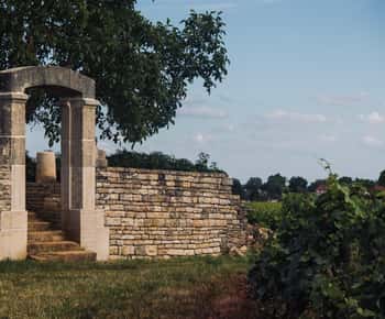 Côte de Nuits: excursión de 2,5 horas por los viñedos