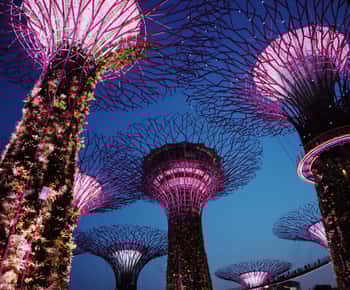 Singapore: Private Tour with a Local Guide