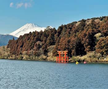 東京：ケーブルカーとクルーズ付きの富士山と箱根ツアー