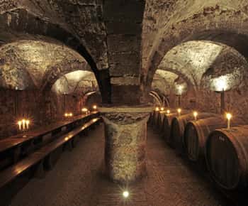 Trèves : Visite guidée découverte - La plus ancienne cave à vin d'Allemagne