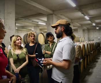 Trinity Canyon: Winemaker-Led Tour & Organic Wine Tasting