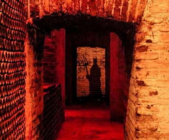Santiago: Nova Experiência na Vinícola Concha y Toro