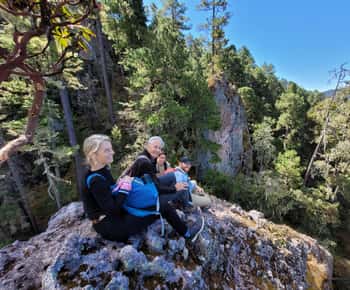 Oaxaca: Sierra Norte Wandeling & Inheems dorp
