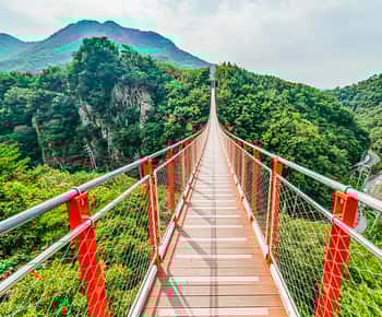 Seoul: DMZ, 3. Tunnel und optionale Hängebrücken-Tour