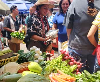 Xochimilco: Mercado, Comida y Naturaleza ¡Todo incluido! Visita