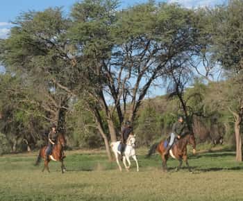 Windhoek: Sundowner Safari Horse Ride
