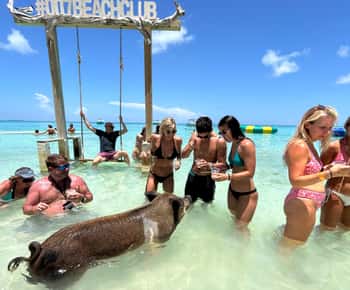 Nassau: Pigs, Snorkel, Turtles, Lunch, Private Beach Club