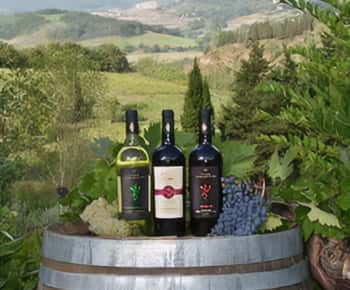 Peccioli: Wine tasting experience