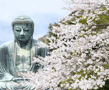 Tokyo: Tour di un giorno di Kamakura e Enoshima con servizio di prelievo in hotel