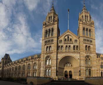 Londres: tour guiado pelo Museu de História Natural