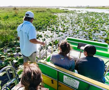 Orlando, Florida Florida Everglades Wildlife Airboat Tour