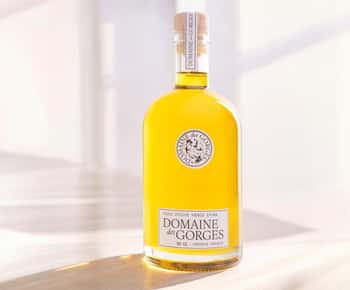 Olive oil: Visit to the olive grove, tasting