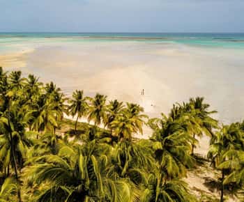 Maceio: Tour to Maragogi Beach