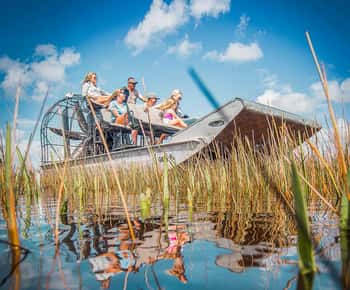 Miami: Everglades National Park Airboat Tour & Wildlife Show