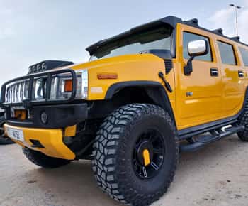 Golden Sands & Glamour: Hummer Safari with Photoshoot