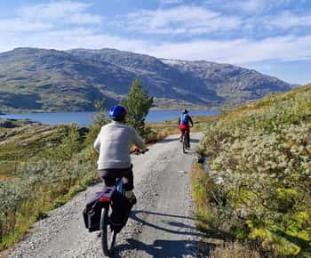 Flam-Myrdal: Guided e-bike tour on the famous Rallarvegen.