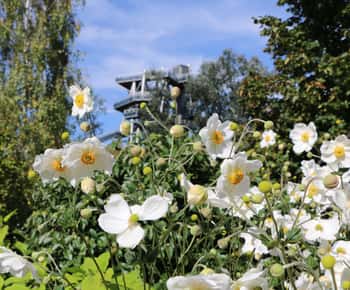 Tulln: TICKET DE ACCESO Y AUDIoguía PARA DIE GARTEN TULLN
