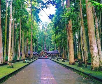 From north bali :Tanah Lot, sangeh forest & Ulun Danu Temple