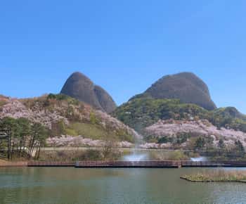Seoul: Maisan Cherry Blossom and Jeonju Hanok Day Tour