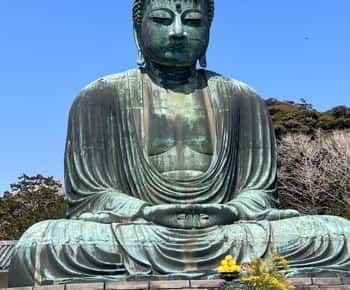 Kamakura e Enoshima: Tour privato guidato di un giorno con veicolo