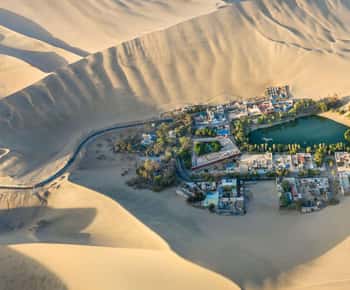 Epic day trip Paracas & Huacachina - Day Trip from Lima