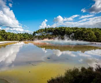 Von Auckland aus: Wai-O-Tapu & Polynesian Spa Rotorua Tagestour