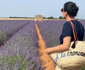 From Aix-en-Provence: Lavender Half Day Tour