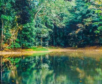 Tour di un giorno della città del regno di Kandy