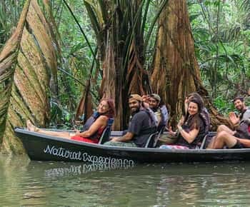 Tortuguero: Canoe Tour in Tortuguero National Park