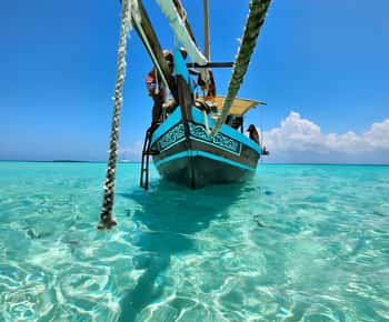 Kizimkazi: Pungume Island Snorkeling & Sandbank Tour
