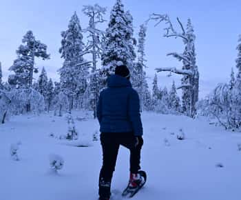 Saariselkä: Snowshoeing Tour in Urho Kekkonen National Park